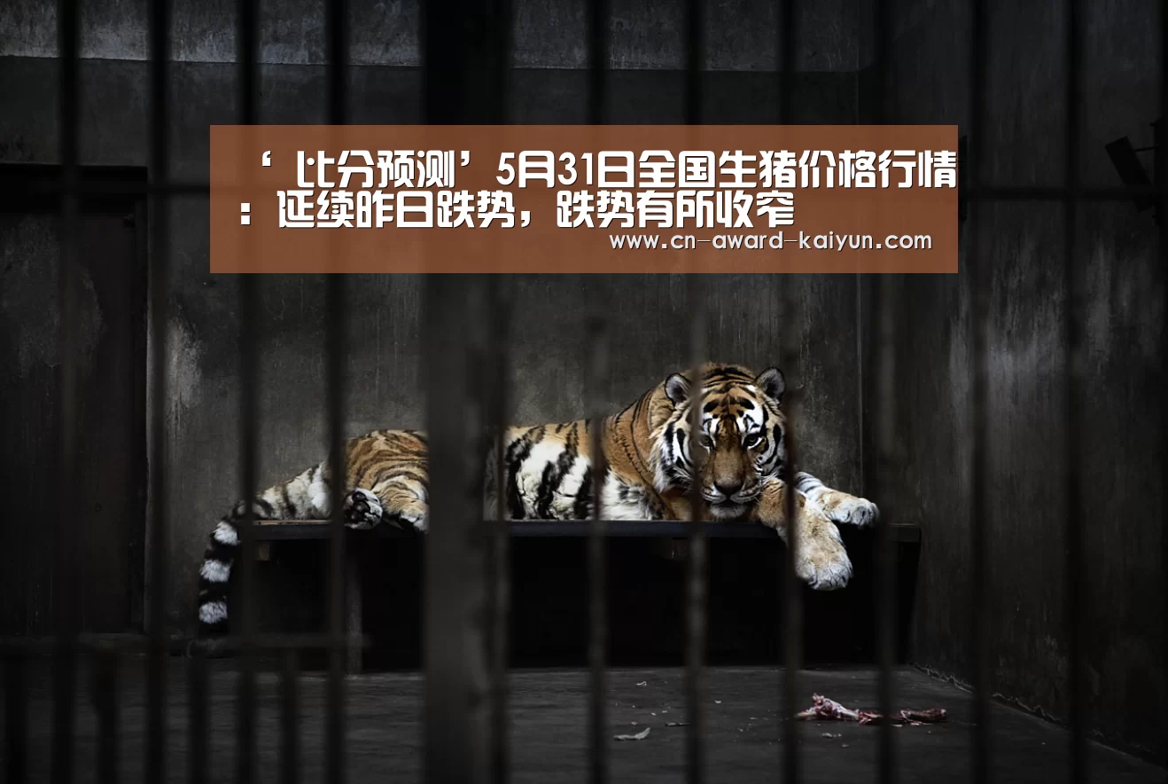 ‘ 比分预测’5月31日全国生猪价格行情：延续昨日跌势，跌势有所收窄